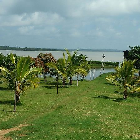 The Peepal Tree, Kabini Begūr Zewnętrze zdjęcie
