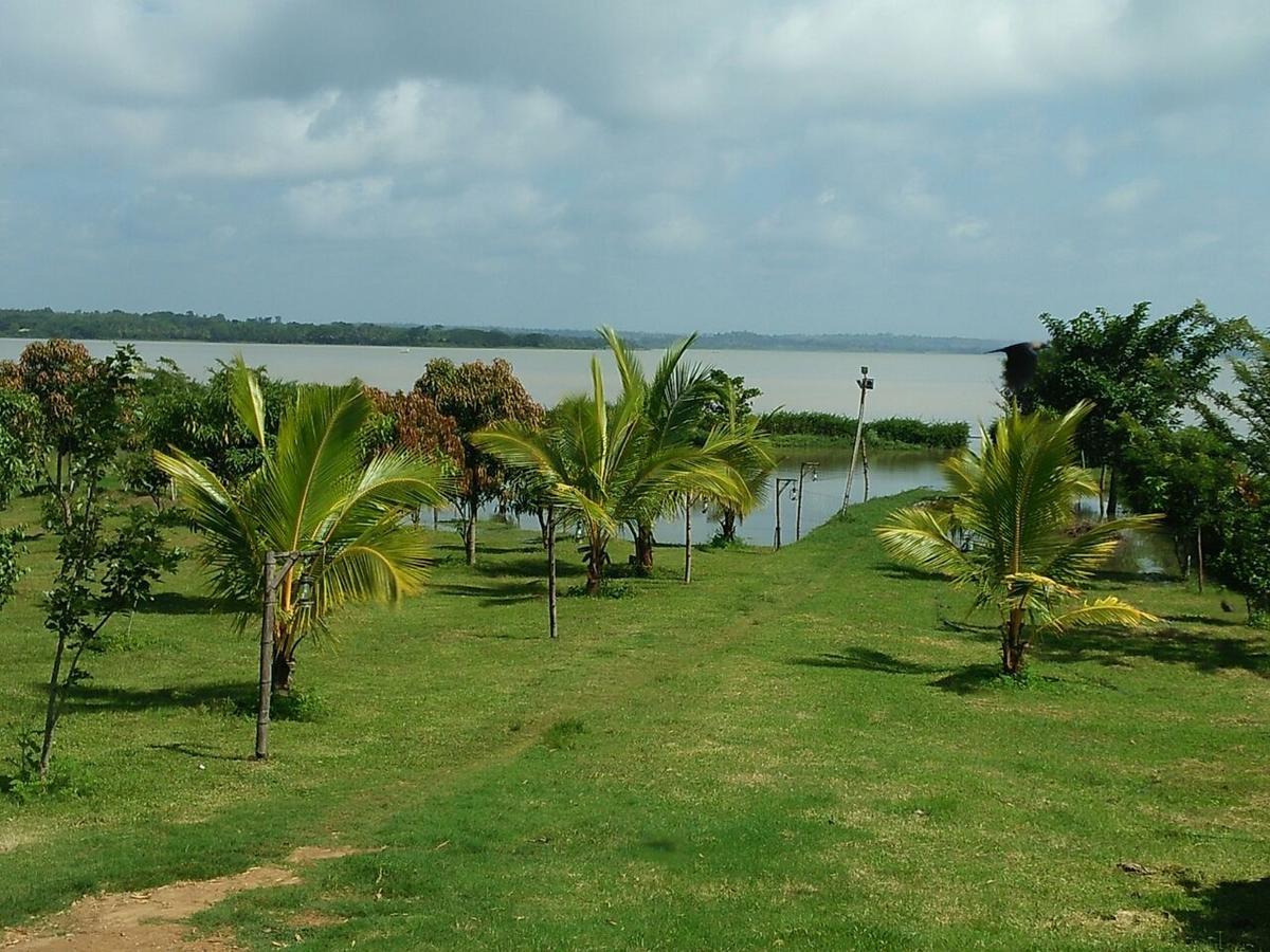 Hotel The Peepal Tree, Kabini Begūr Zewnętrze zdjęcie