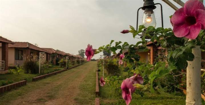 The Peepal Tree, Kabini Begūr Zewnętrze zdjęcie